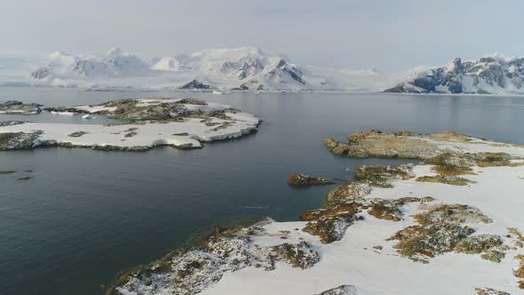 Antarctica Wild Nature Water Surface Aerial View