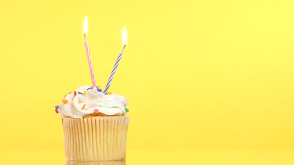 Tasty Birthday Cupcake with Two Candle, on Yellow Background
