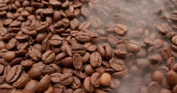 Close Up of Seeds of Coffee