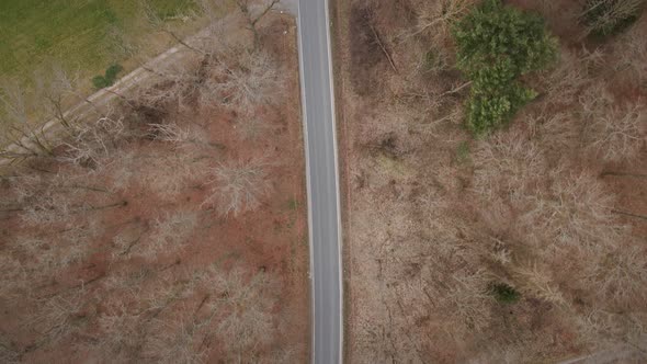 Overhead drone shot tracking a remote countryroad with one car passing along.