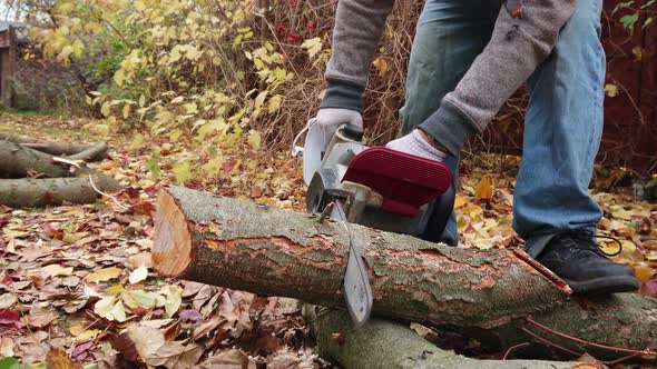 Electric chainsaw in hand cutting wood for winter