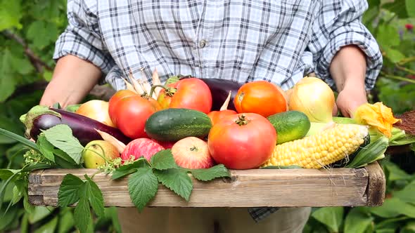 A farmer holds a harvest of fresh organic vegetables in a box.