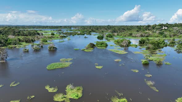 Stunning landscape of Amazon Forest at Amazonas State Brazil.