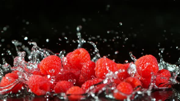 Super Slow Motion Shot of Fresh Raspberries Falling Into Water on Black Background at 1000Fps.