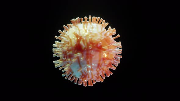 Virus, Coronavirus or Other Disease Under the Microscope alt