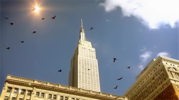 Empire State Building and Flock of Birds Flying.