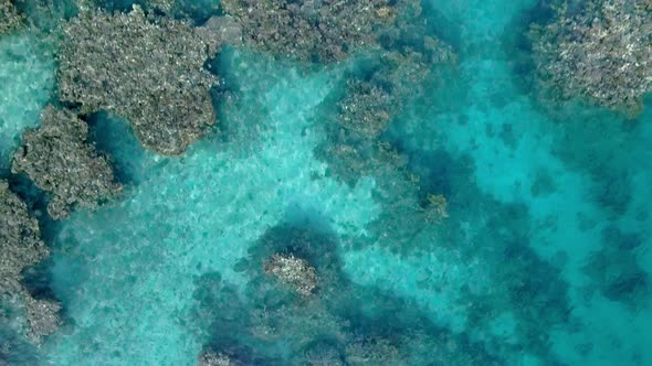 Aerial footage of the Coral Reef Nature Reserve, Eilat Israel.