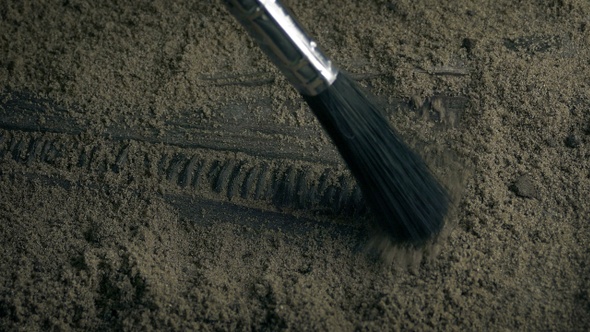 Sea Creature Fossil Mouth Being Excavated