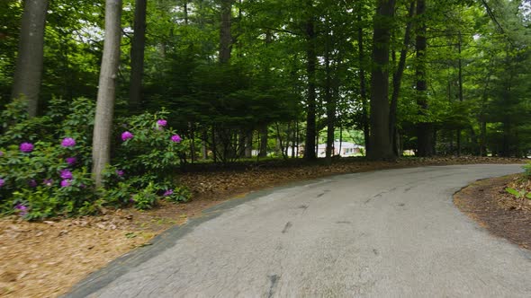 Pushing through a circle driveway during blooming season.