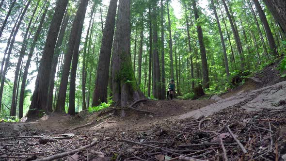 Woman riding unicycle in the forest