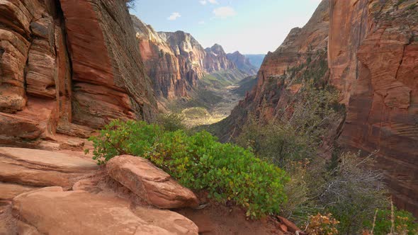 Red Rocks in Zion National Park, Utah, USA