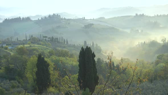 Misty Morning Panorama From The San Gimignano Walls, Toscana, Italy 5