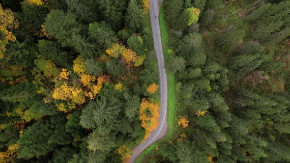 Drone following a traveler hiking in a beautiful orange colored autumn forest.