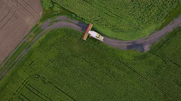 Aerial Drone Video Footage of a Combine That Drives on the Road to a Grain Field