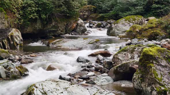 8K Clear River Flowing on Mossy Stones in Forest