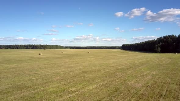 Aerial View Scattered Across Field Packaged Hay By Forest