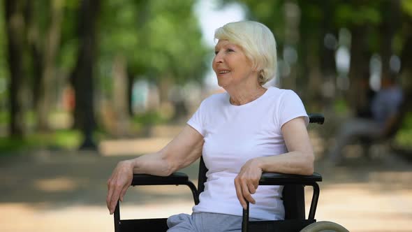 Happy Elderly Female in Wheelchair Enjoying Sunny Day in Park