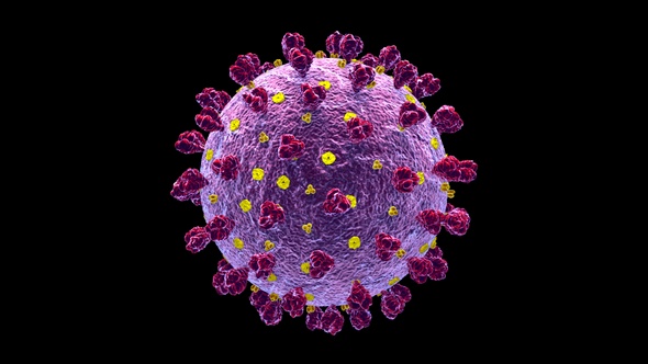 Coronavirus Covid 19 Cell alt