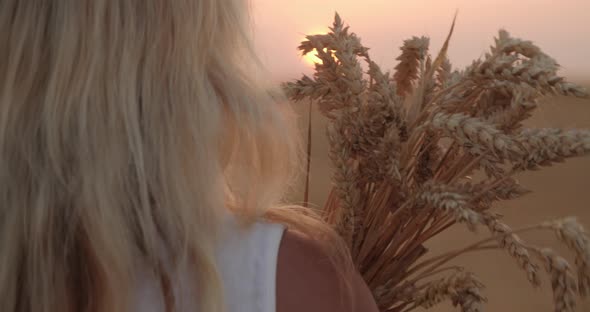 The Girl Walks Through the Field with a Bouquet of Wheat Ears at Sunset