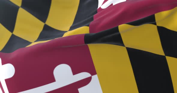 Flag of American State of Maryland