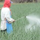 farmer spraying pesticide at onion field in thailand - VideoHive Item for Sale