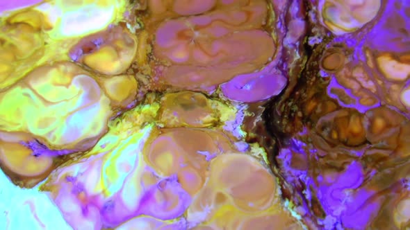 Color Explosion Abstract Art Painting 493 alt