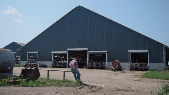 Ranch Worker Sitting Outside Big Cowshed on Fence After Feeding Livestock Herd