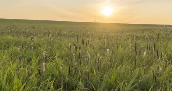 Hill Meadow Timelapse at the Summer or Autumn Time. Wild Endless Nature and Rural Field. Sun Rays