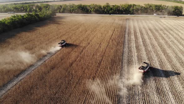 Aerial View of Several Harvesters on a Field of Sunflowers