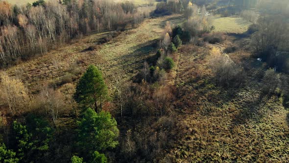 Autumn forest seen from above.