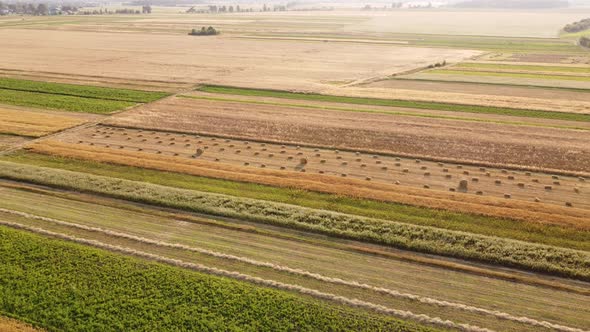 aerial view from the helicopter to the green, gold fields, Rural landscape. rural field at harvest. 