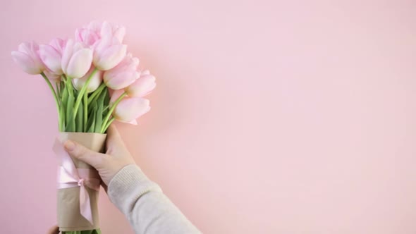 Bouquet of pink tulips on a pink background.