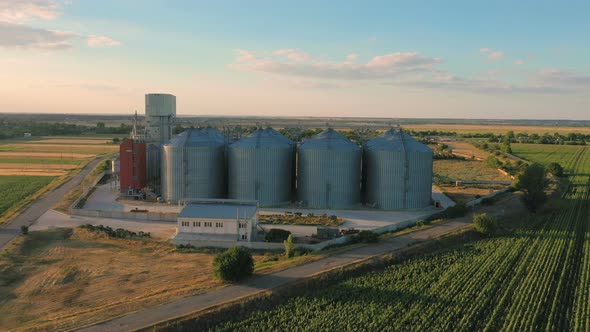 Modern Grain Silos At The Field Of Blooming Sunflowers