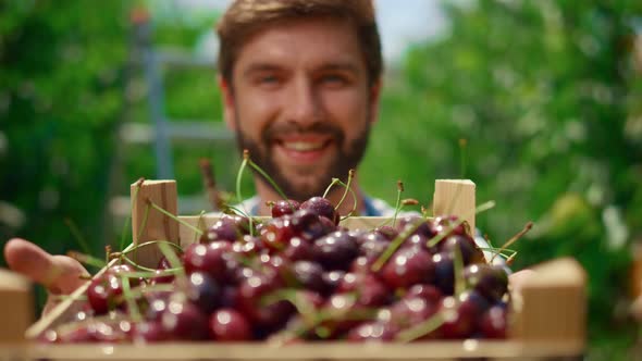 Farmer Showing Cherry Berries Looking Camera in Fruit Orchard Plantation House