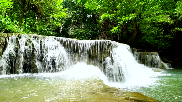 Wild Jungle Waterfall