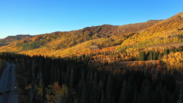 Flying canyon in the shadows towards the light of autumn colors glowing