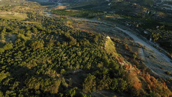 Aerial Olive Oil Land