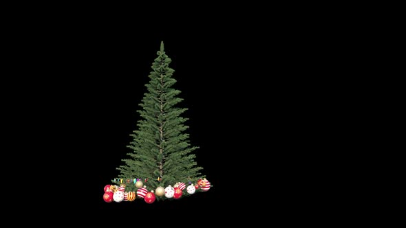 Christmas tree transparent background