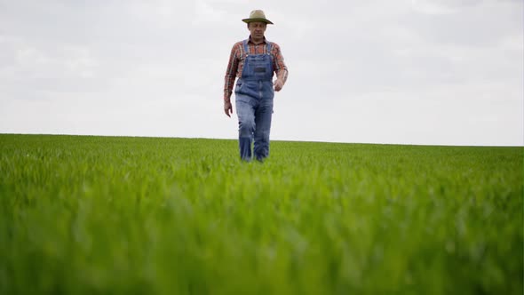 Male Farmer Walking in the Field