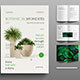 Magazine Design Layout
