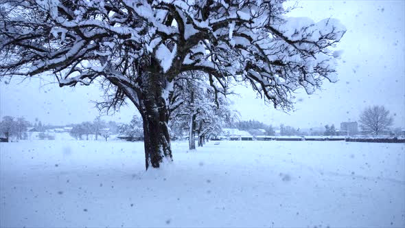 Aerial View of Nature Environment Scenery Landscape Outdoors during Snowfall in Christmas Time alt