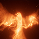 Fire Phoenix Reveal - VideoHive Item for Sale