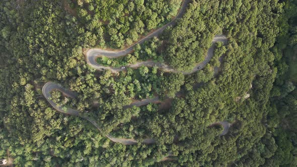 Aerial view of a road in the forest, Marciana, Elba Island, Italy.