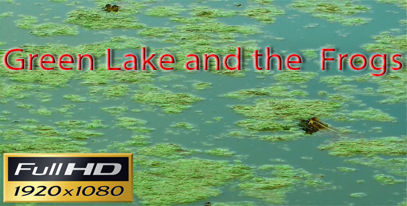 Green Lake And The Frogs