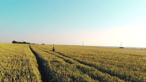 Aerial View Woman Walking on a Field of Golden Wheat at Sunset Facing the Camera. A Woman Smiling