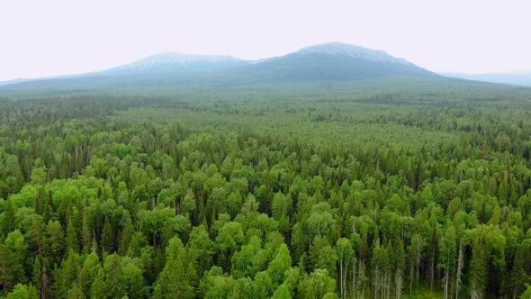 Forests and Mountains of the Southern Urals Near the Village of Tyulyuk in Russia