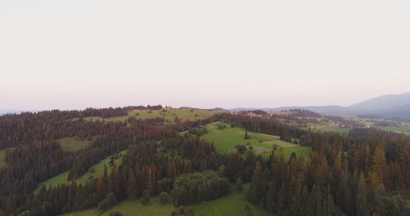 Scenic Agricultural Field and Forest Against Sky
