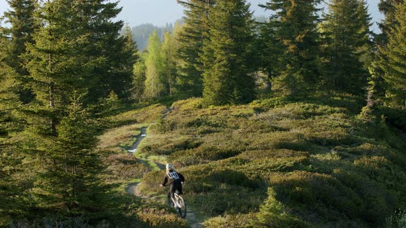 Mountain biker rides down scenic trail fast and splashes puddles