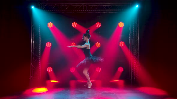 Graceful Ballerina in a Chic Image of a Black Swan. Dancing of Elements Classical Ballet. Shot in a