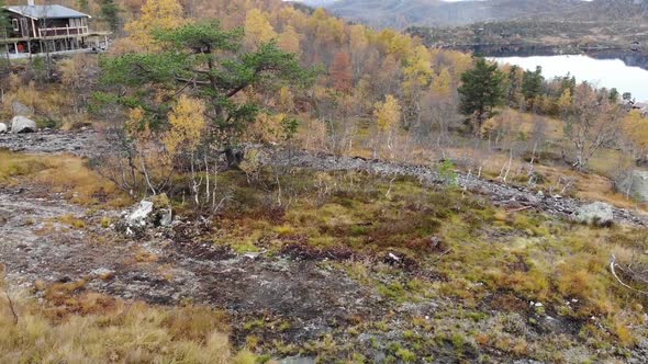 Norwegian fall on the mountain